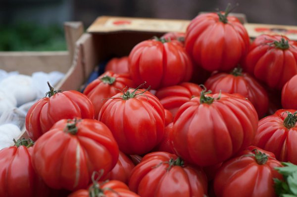 Caviar d'Aquitaine : un trésor français à savourer